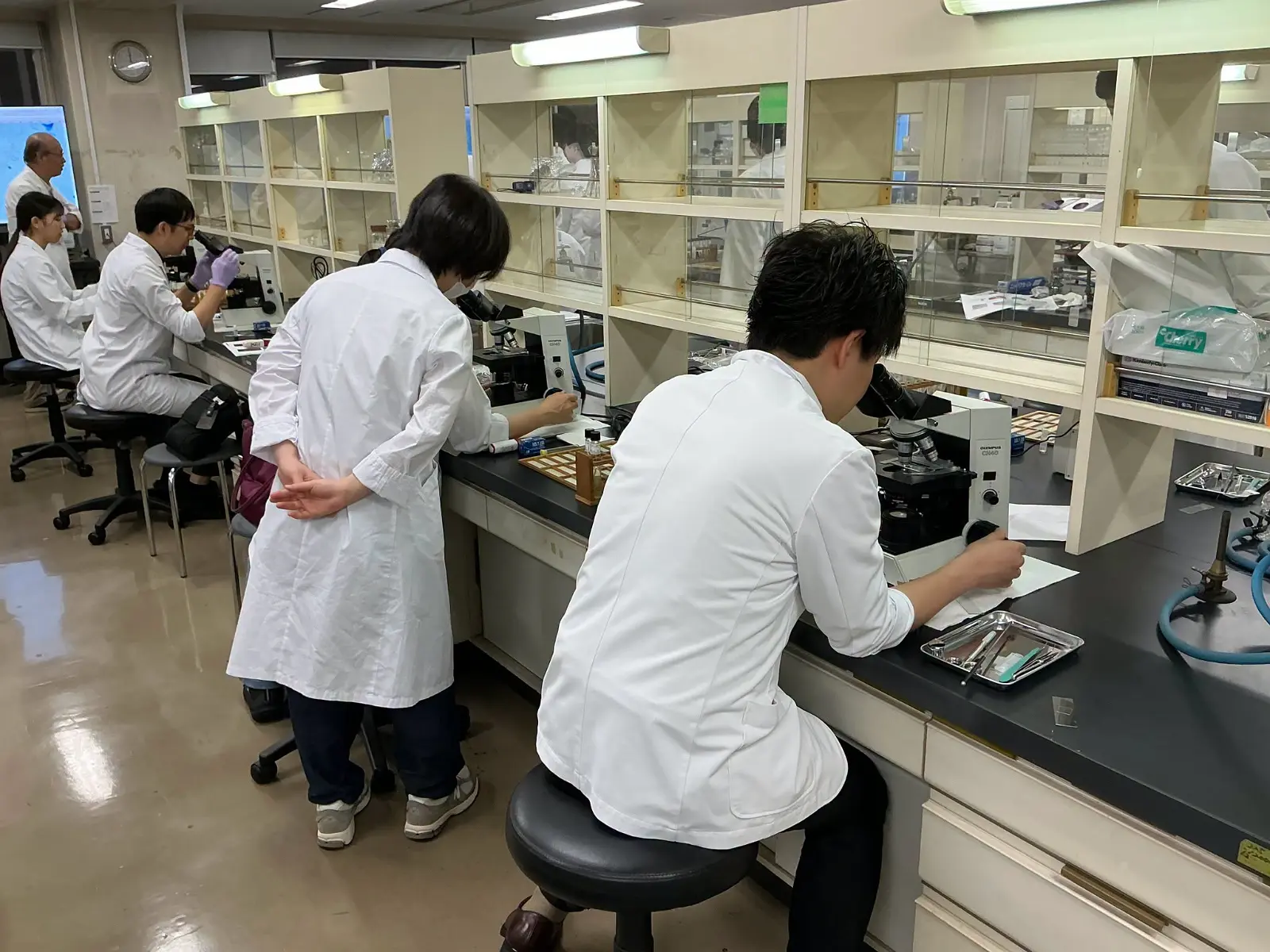 VIỆN NGHIÊN CỨU NẤM Y HỌC – ĐẠI HỌC TEIKYO ĐĂNG CAI TỔ CHỨC KHÓA ĐÀO TẠO GIẢNG VIÊN VỀ BỆNH NẤM DA LẦN THỨ 13 CỦA HIỆP HỘI NẤM Y HỌC NHẬT BẢN