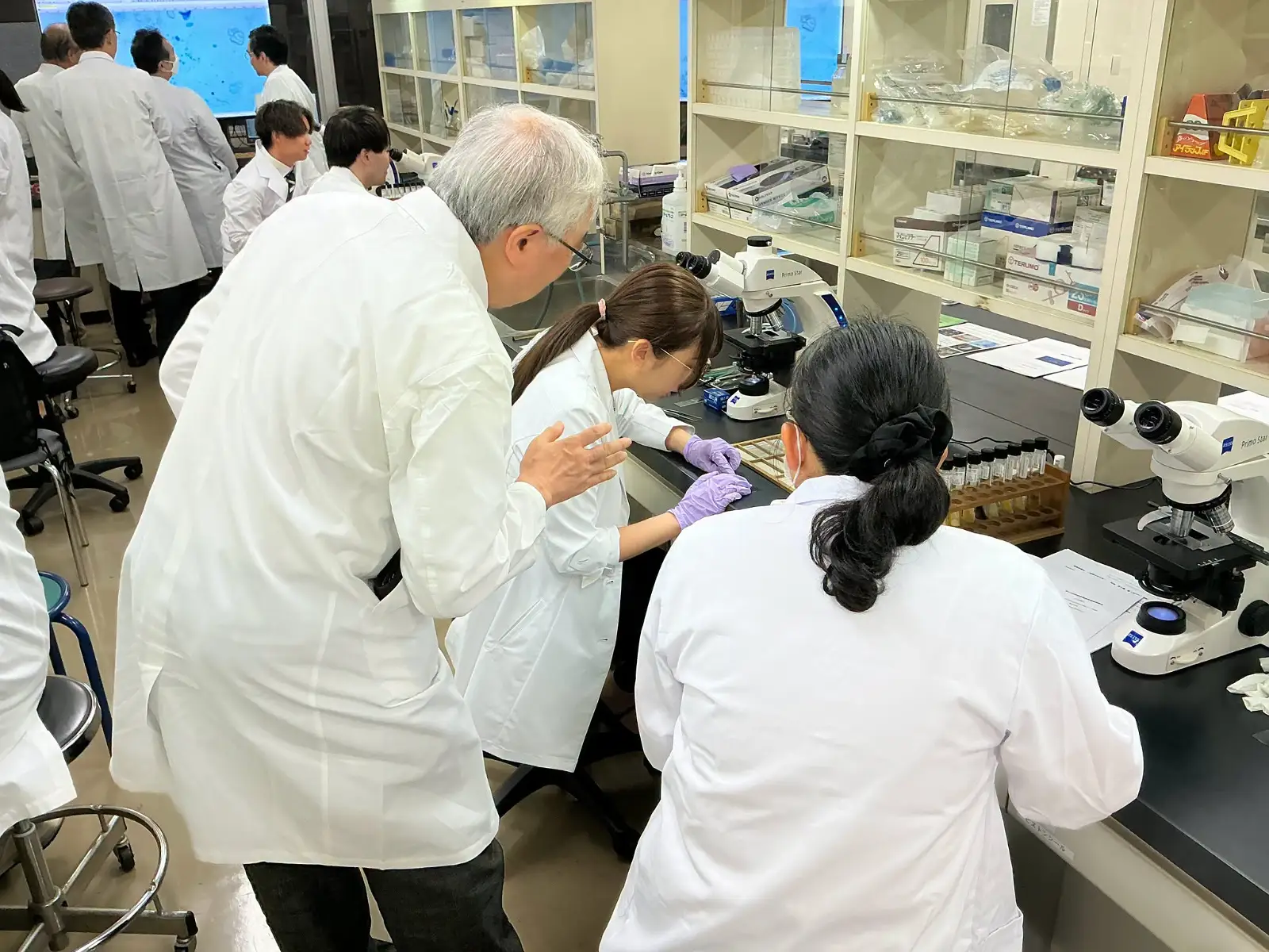VIỆN NGHIÊN CỨU NẤM Y HỌC – ĐẠI HỌC TEIKYO ĐĂNG CAI TỔ CHỨC KHÓA ĐÀO TẠO GIẢNG VIÊN VỀ BỆNH NẤM DA LẦN THỨ 13 CỦA HIỆP HỘI NẤM Y HỌC NHẬT BẢN
